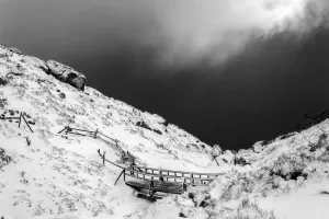 © Julian Fandino, Colombia, Shortlist, Latin America Professional Award, 2020 Sony World Photography Awards