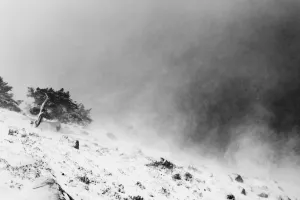 © Julian Fandino, Colombia, Shortlist, Latin America Professional Award, 2020 Sony World Photography Awards