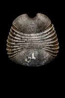 © Arturo Velázquez Hernández, Mexico, Shortlist, Latin America Professional Award, 2020 Sony World Photography Awards