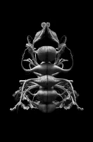 © Cecilia Manzanares Vargas, Mexico, Shortlist, Latin America Professional Award, 2020 Sony World Photography Awards