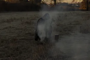 © Cristobal Olivares , Chile, Shortlist, Latin America Professional Awards, 2020 Sony World Photography Awards