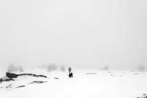 © Julian Fandino, Colombia, Shortlist, Latin America Professional Award, 2020 Sony World Photography Awards