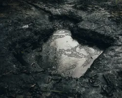 © Robin Hinsch, Germany, 1st Place, Professional competition, Environment , 2020 Sony World Photography Awards