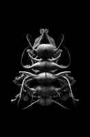 © Cecilia Manzanares Vargas, Mexico, Shortlist, Latin America Professional Award, 2020 Sony World Photography Awards