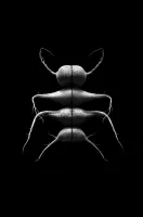 © Cecilia Manzanares Vargas, Mexico, Shortlist, Latin America Professional Award, 2020 Sony World Photography Awards