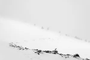 © Julian Fandino, Colombia, Shortlist, Latin America Professional Award, 2020 Sony World Photography Awards