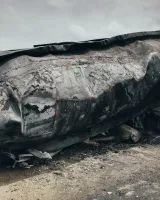 © Robin Hinsch, Germany, 1st Place, Professional competition, Environment , 2020 Sony World Photography Awards