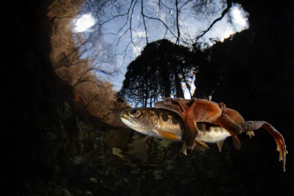 Are you Good Friends?