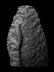 © Kikoh Matsuura + Kazuki Ide, Japan, Shortlist, Professional competition, Environment, 2022 Sony World Photography Awards