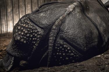 1000 Murders (Munich)