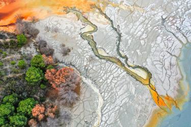 Disturbed Landscape 02