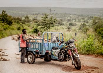 Cut down for Charcoal, Swallowed by the Sea 08
