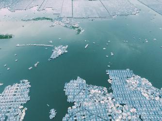 Environmental Reflections