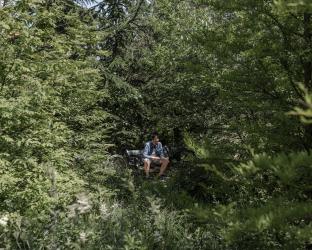 The City Forest of Copenhagen