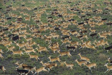 South Sudan's Forgotten Wilderness