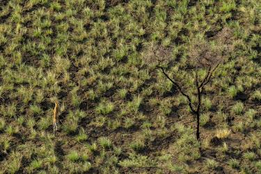 South Sudan's Forgotten Wilderness