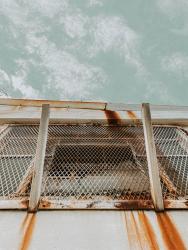 Walk About: Shipwrecked