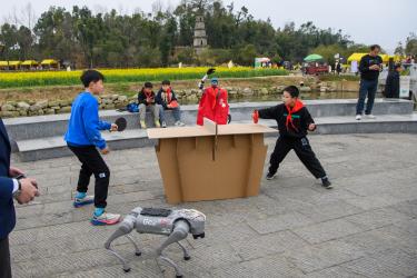 A Different Kind of National Sport