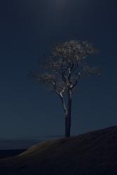 © Gareth Iwan Jones, United Kingdom, Finalist, Professional competition, Landscape, 2022 Sony World Photography Awards