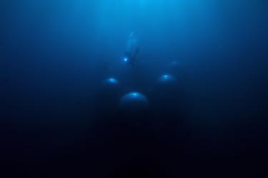 © Giacomo d'Orlando, Italy, Finalist, Professional competition, Environment, 2022 Sony World Photography Awards