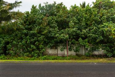 Papa's Radio Station