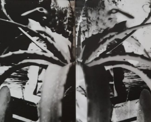 Resting in unfamiliar places (IV)