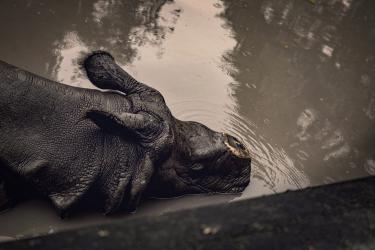 Sometimes You Have to Stand Alone Just to Make Sure You Still Can (Kolkata)