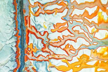 Disturbed Landscape 07