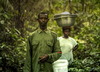 Cut down for Charcoal, Swallowed by the Sea 010