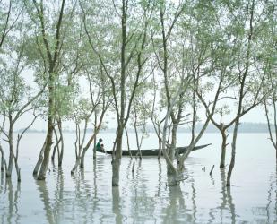 Living in the Transition pt.7