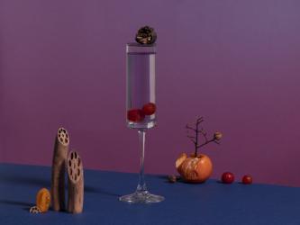 Desert of Fallen Sun