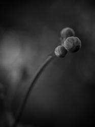 © Julian Anderson, United Kingdom, Finalist, Professional competition, Portfolio, 2022 Sony World Photography Awards