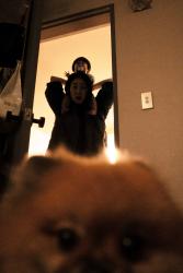 The Bremen Town Musicians