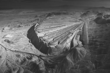 Shell of the Anthropocene