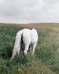 © Sarah Grethe, Germany, Finalist, Professional competition, Creative, 2022 Sony World Photography Awards