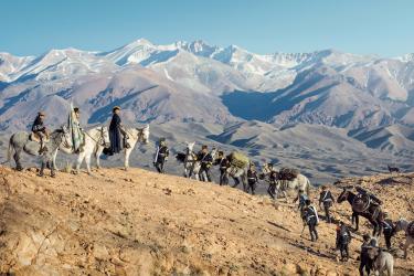 The Crossing of the Andes