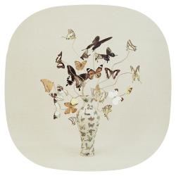 Wandering in Absolute Freedom