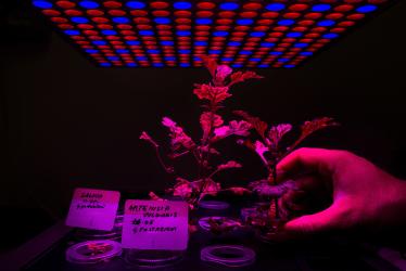 © Giacomo d'Orlando, Italy, Finalist, Professional competition, Environment, 2022 Sony World Photography Awards