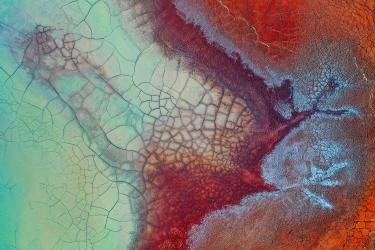 Disturbed Landscape 09