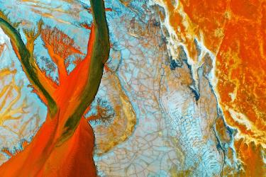 Disturbed Landscape 04