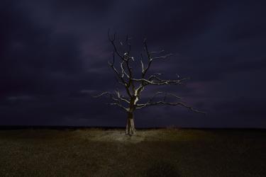 © Gareth Iwan Jones, United Kingdom, Finalist, Professional competition, Landscape, 2022 Sony World Photography Awards