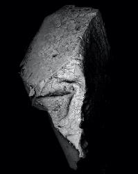 © Kikoh Matsuura + Kazuki Ide, Japan, Shortlist, Professional competition, Environment, 2022 Sony World Photography Awards