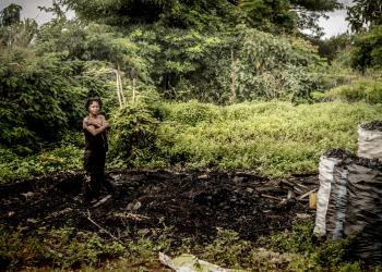 Cut down for Charcoal, Swallowed by the Sea 09