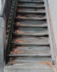 © Sarah Grethe, Germany, Finalist, Professional competition, Creative, 2022 Sony World Photography Awards