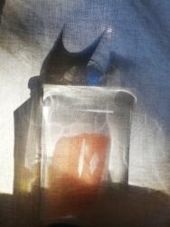 anSCHEIN (Semblance)