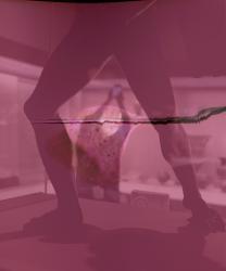 Reclaiming the Truth