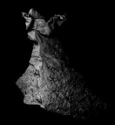 © Kikoh Matsuura + Kazuki Ide, Japan, Shortlist, Professional competition, Environment, 2022 Sony World Photography Awards