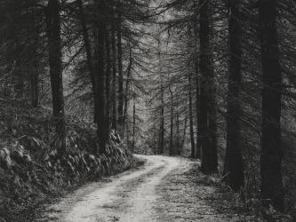 Colle delle Finestre, Italy