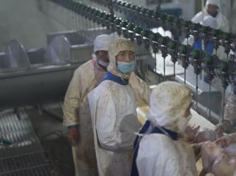 Slaughterhouse assembly line.