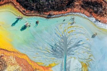 Disturbed Landscape 01